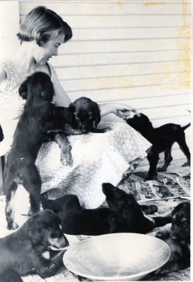 first litter orig.jpg