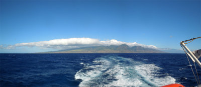 Lahaina and whale watching