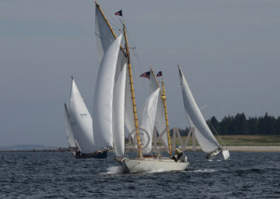 g9/53/578453/3/153605694.05aLLQkz.jpg