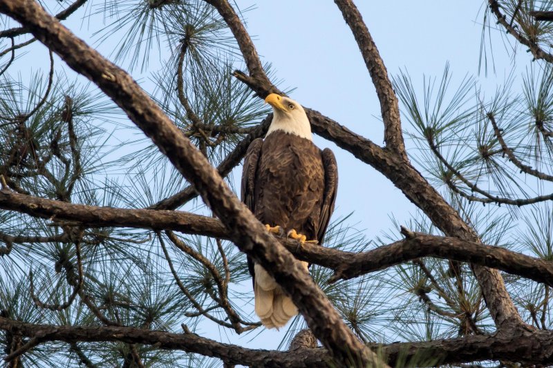 HH6A0306.JPG