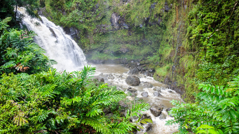 DSC02980.jpg