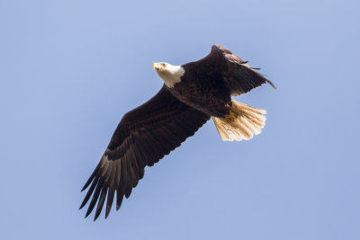 HH6A2873.JPG