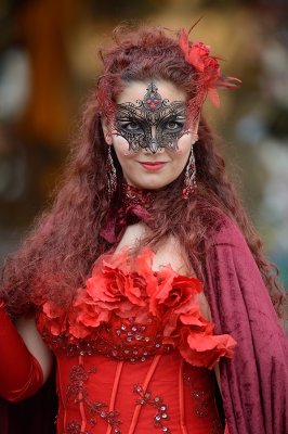 Venice Carnival 2014