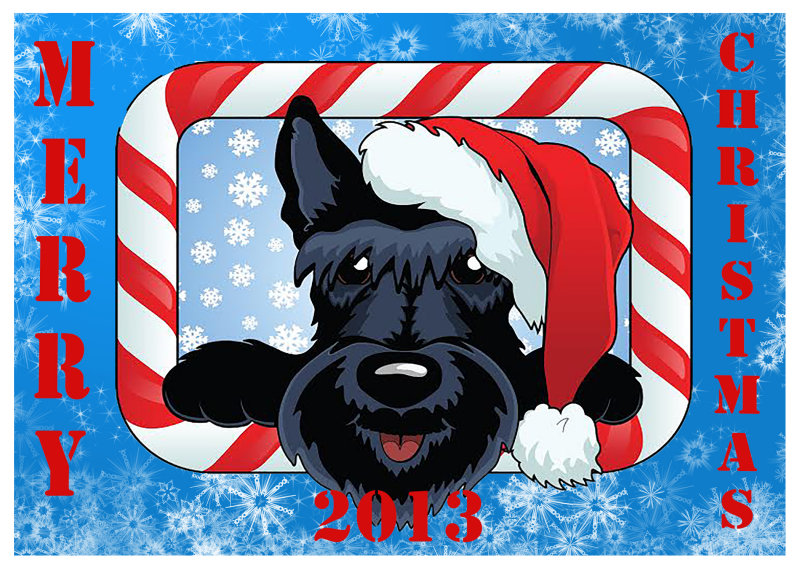 Merry Christmas 2013 