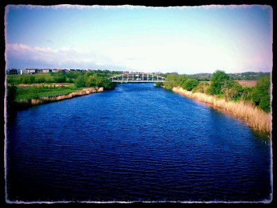 The Walk Home (May 14th)