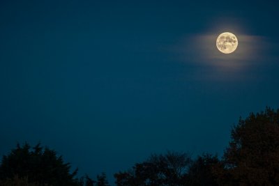 Moonrise (Nov 16th)