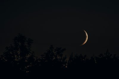Moonrise