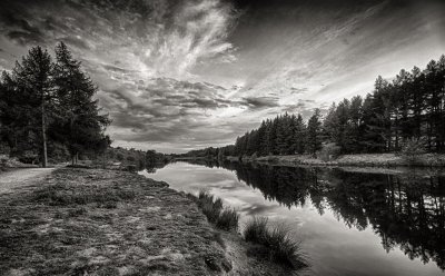 Tranquility In Mono