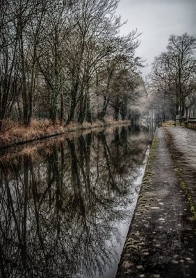 Canal Reflections