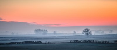 January 23rd - Misty Morning Meadow