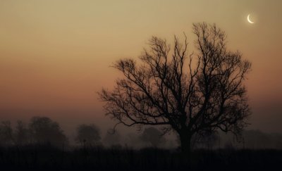 January 25th - Moonrise In The Morning Mist