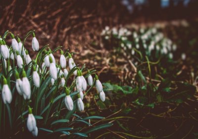 February 22nd - Signs Of Spring