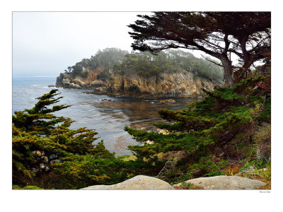 Point Lobos_ Pano.jpg
