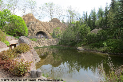 Scenery in the Prehistoric Park