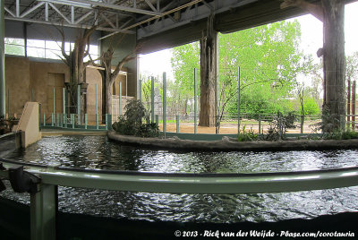 Hippopotamus exhibit