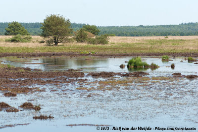 22. Nationaal Park De Hoge Veluwe en Veluwezoom