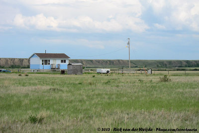 Little House on the Prairie