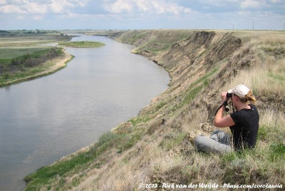 Jos overviewing the Bow River