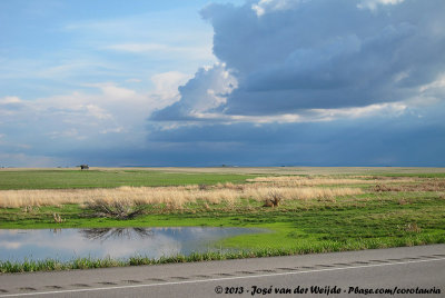 Some wetlands along the Road