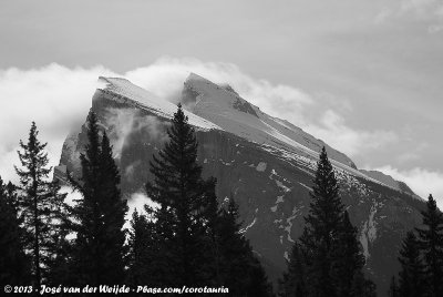 Peaks on Mountains Peaks