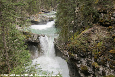 One of the plenty of falls in Johnston's Canyon