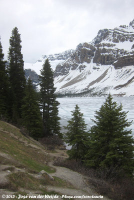 Frozen Bow Lake