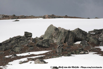 Rocky outcrops in a snowy landscape