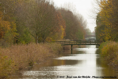 Autumn in Almere