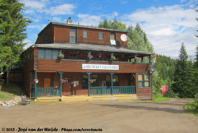 Helmcken Falls Lodge: Hummingbird Paradise