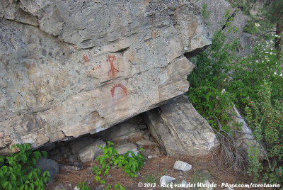 Rock paintings