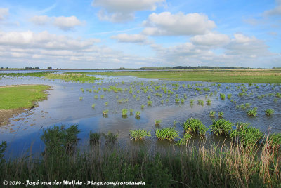 The wetlands of the Esumakeech