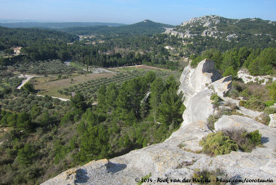 View from Les Baux