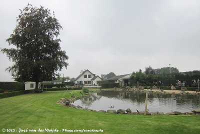 Waterfowl Exhibit