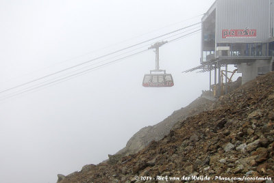 Cable Car in the Mist