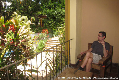 Our balcony overviewing Trapp's garden