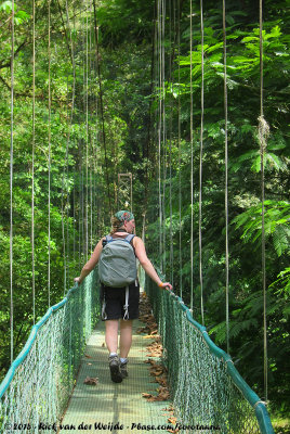 Jos at the Suspension Bridge to the Primary Forest