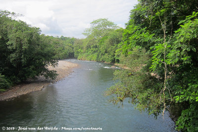 Rio Sarapiqu