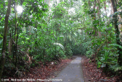 Pouring Rain @ La Selva