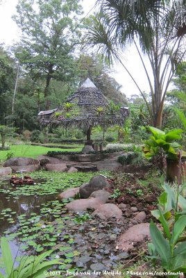 Botanical Garden of Selva Verde
