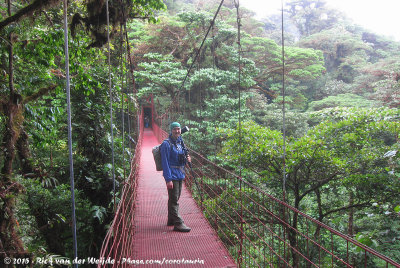 Jos at the tree tops Hanging Bridge