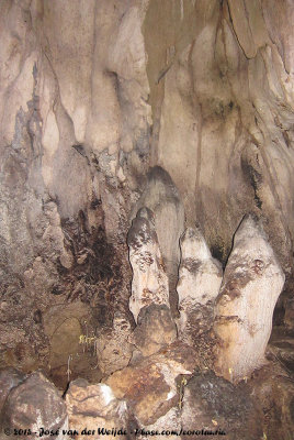 Rock formations inside the Cave