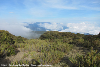 View over Cordillera Talamanca