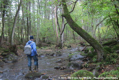 Jos in search for Dippers