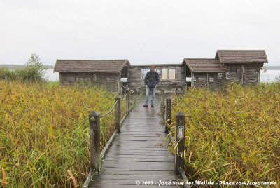 Birdwatching hide at Krankesjn