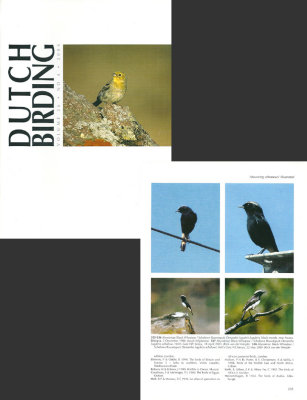 Dutch Birding - Volume 26. no 4