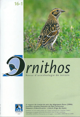 Ornithos 16-1
