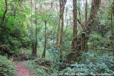 Sendero La Quebrada