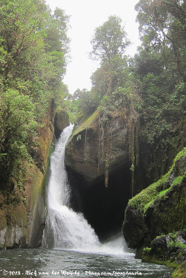 San Gerardo Waterfall