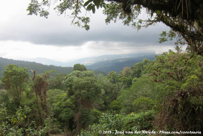 Parque Nacional Los Quetzales