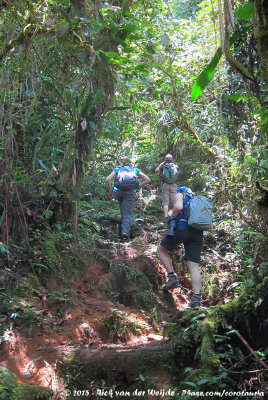 Climbing the slippery trails of Tapant